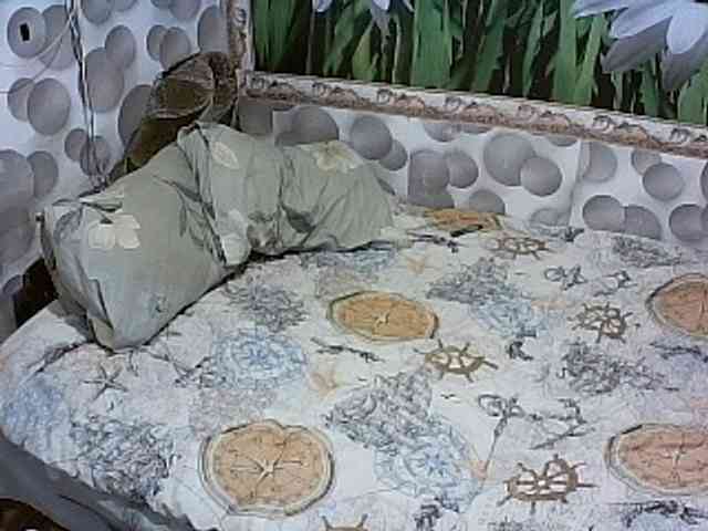 Marusia5656 webcam