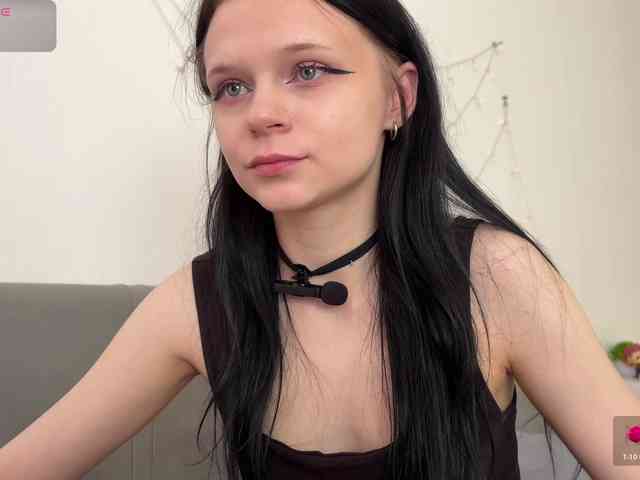 meowcha webcam