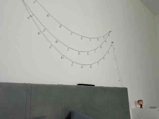 meowcha webcam