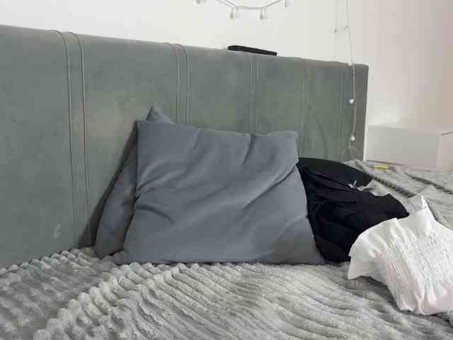 meowcha webcam