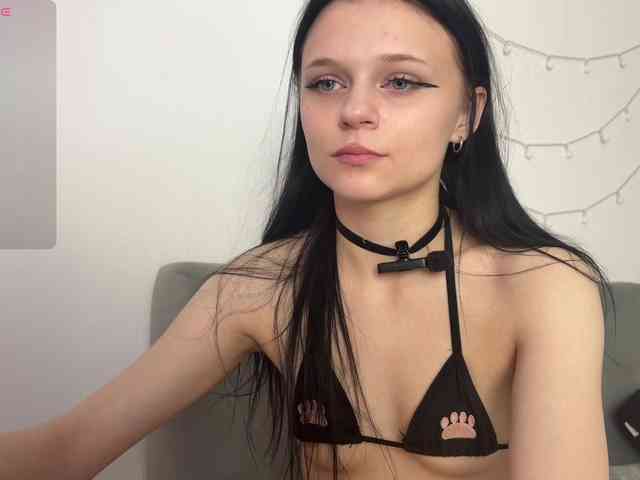 Модель: meowcha