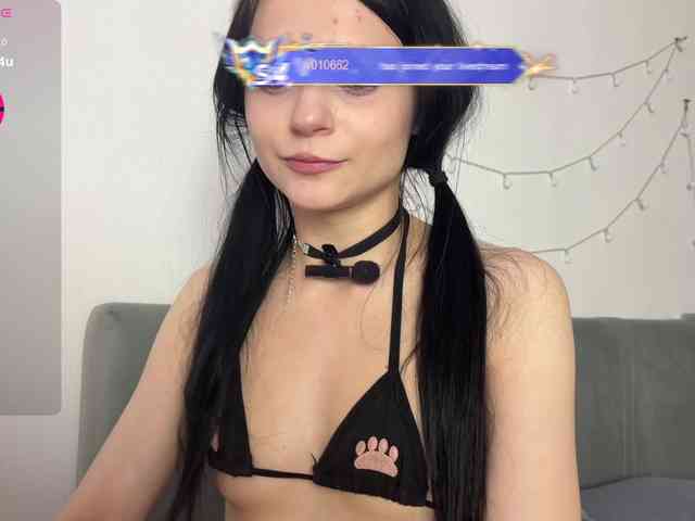 meowcha webcam