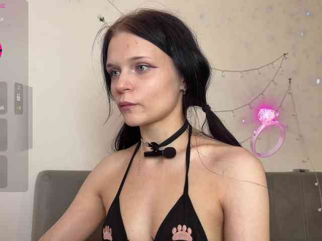 meowcha webcam