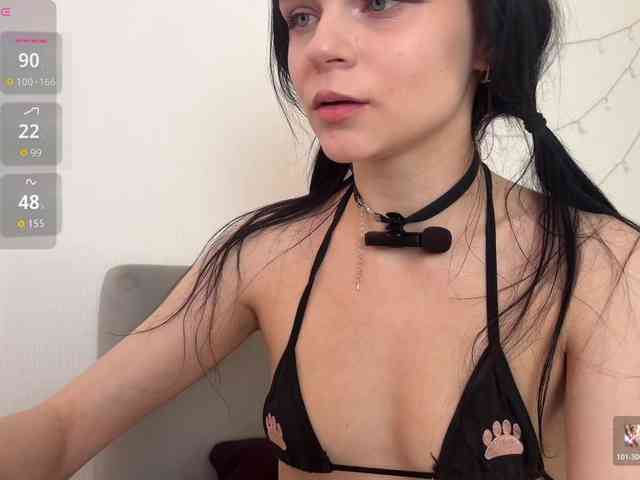 meowcha webcam