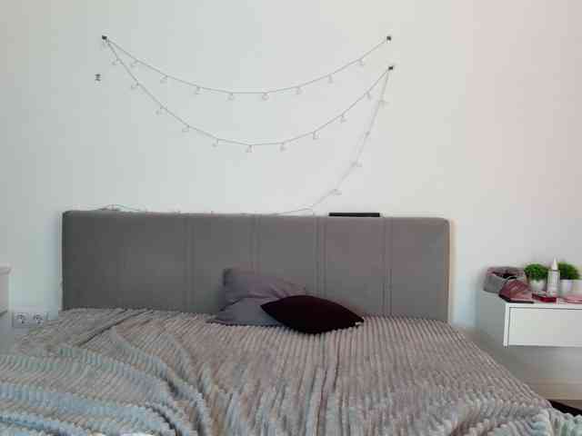 meowcha webcam