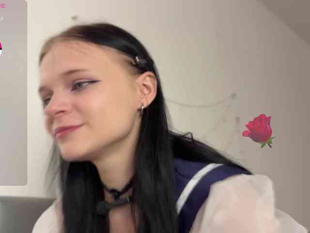meowcha webcam