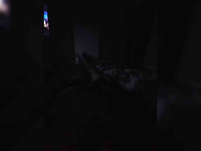 Tolik0020 webcam