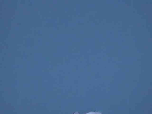 LillieBerry webcam