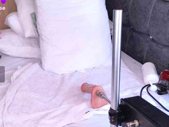 vanity-wild webcam
