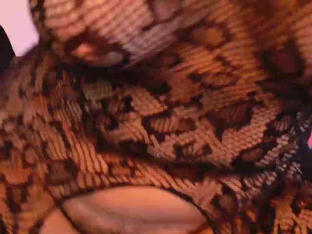 vanity-wild webcam