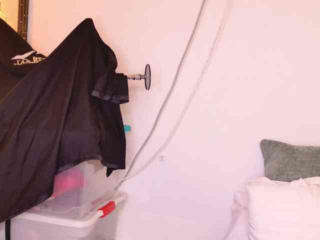 vanity-wild webcam