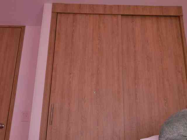 vanity-wild webcam