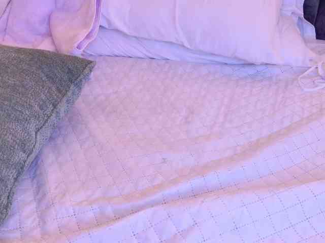 vanity-wild webcam