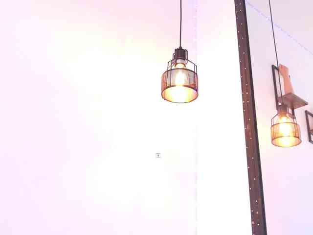 vanity-wild webcam