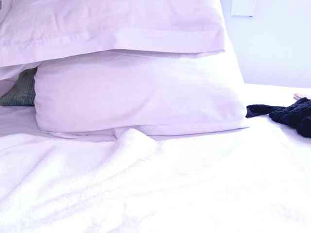 vanity-wild webcam