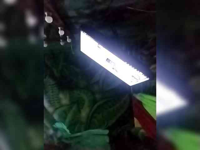 Suseennaa webcam