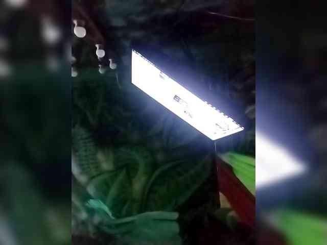 Suseennaa webcam