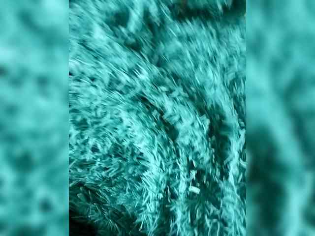 Suseennaa webcam