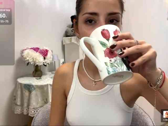EraMinges webcam
