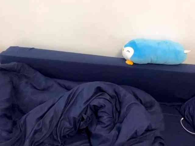 EraMinges webcam