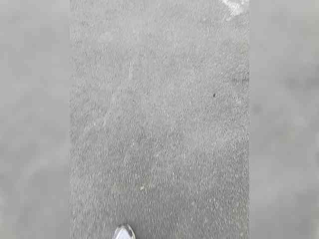 Proksi5587 Sex Cam Show