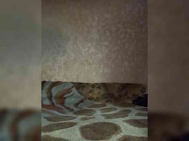 Naty10 Sex Cam Show