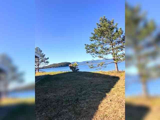 KrasivieNojki