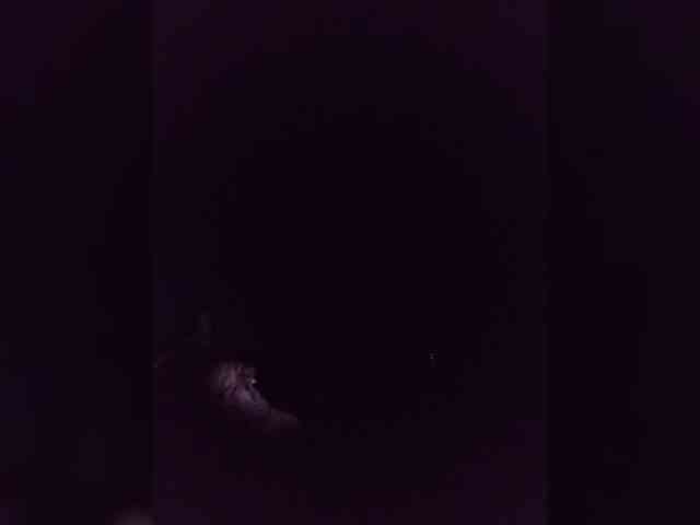 SATANAS676 SATANAS676