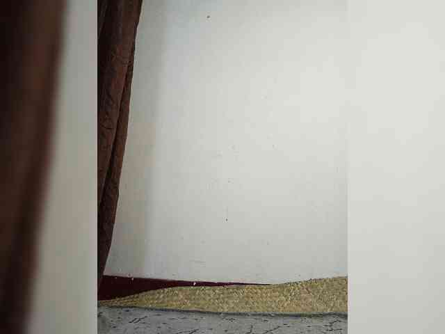 Luicia webcam