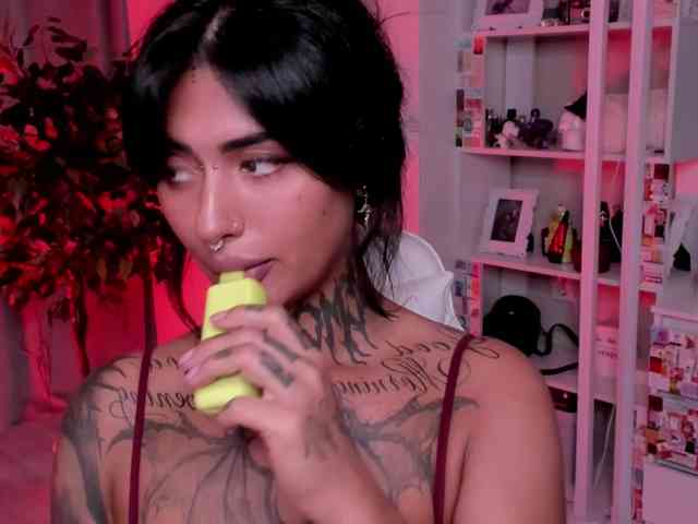 DarkFlame223 webcam