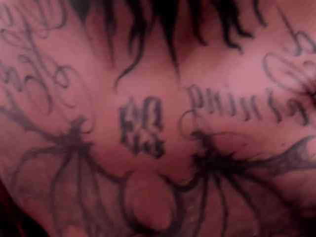 DarkFlame223 webcam