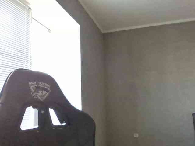 Bil-bela- webcam