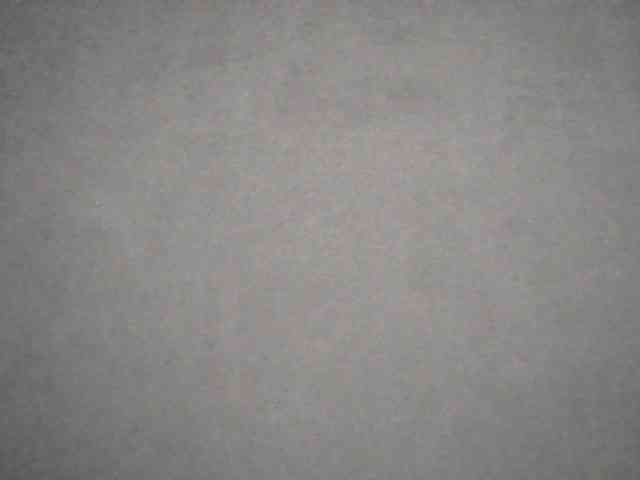 Bil-bela- webcam