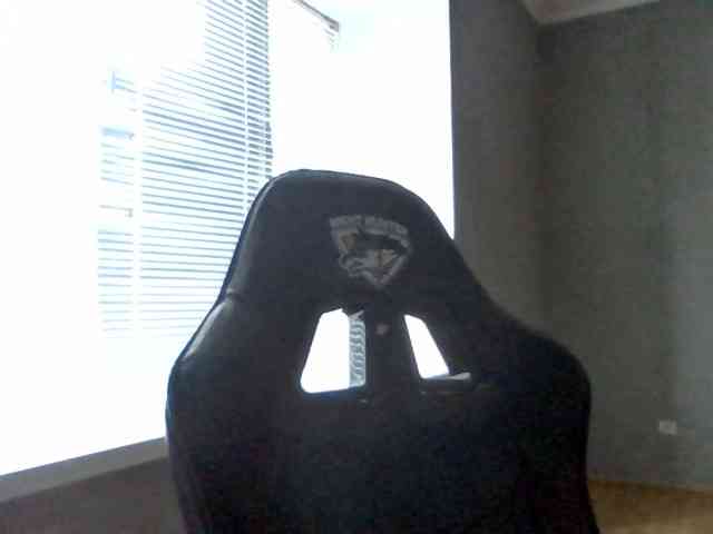 Bil-bela- webcam