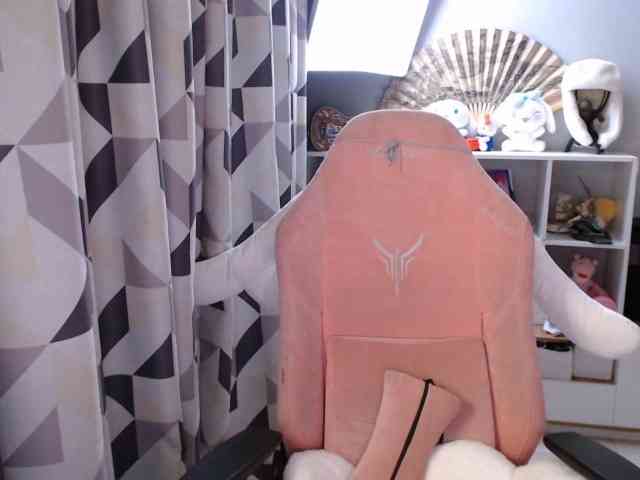 GertieCoach webcam