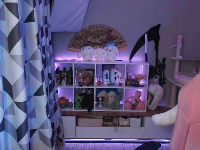 GertieCoach webcam