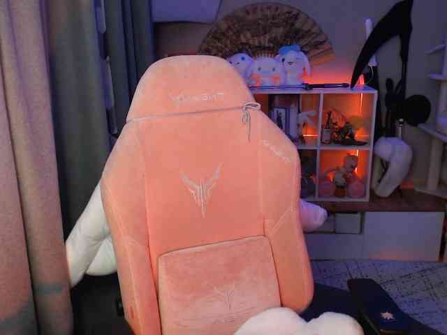 GertieCoach webcam