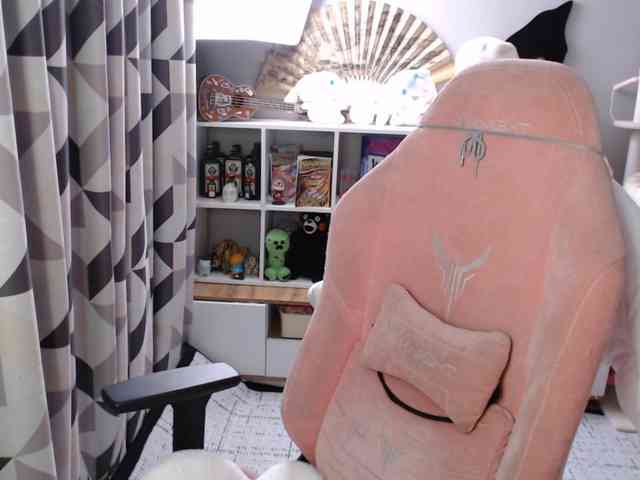 GertieCoach webcam