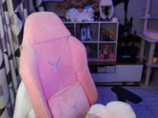 GertieCoach webcam