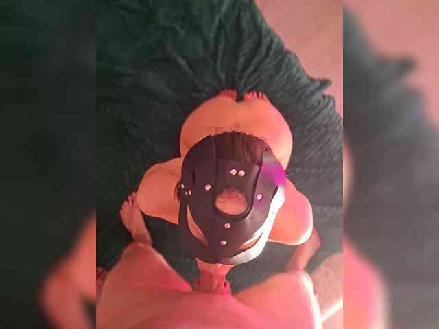 Tomsan webcam