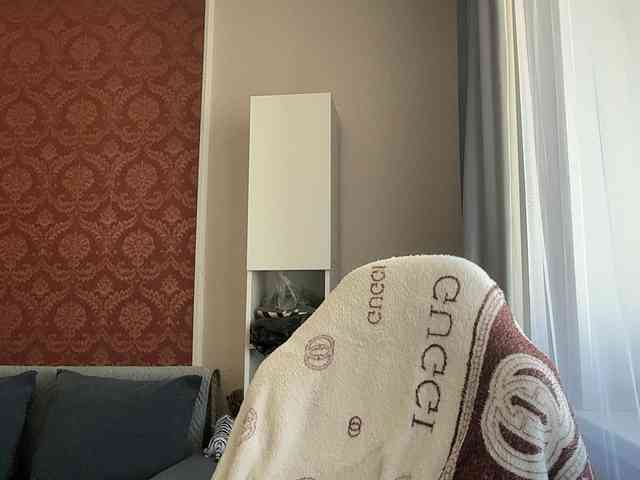 Aliice-AI webcam