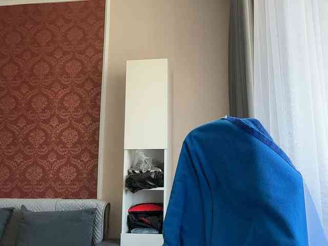 Aliice-Al webcam
