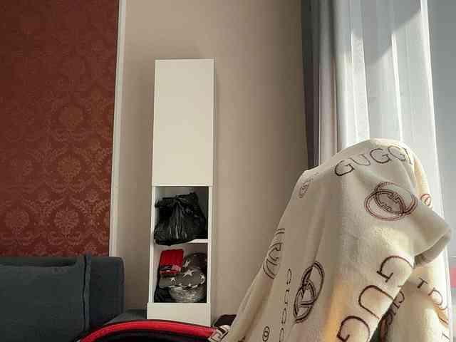 Aliice-Al webcam