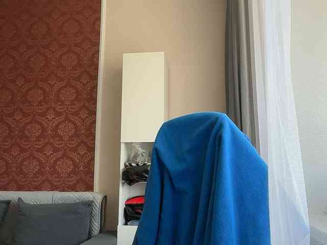 Aliice-Al webcam