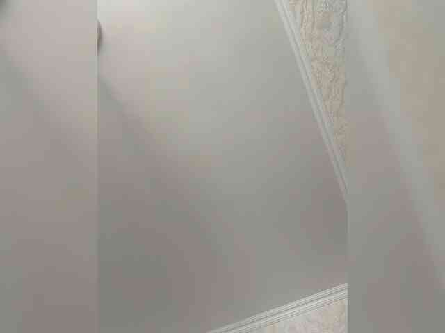 Aliice-Al webcam