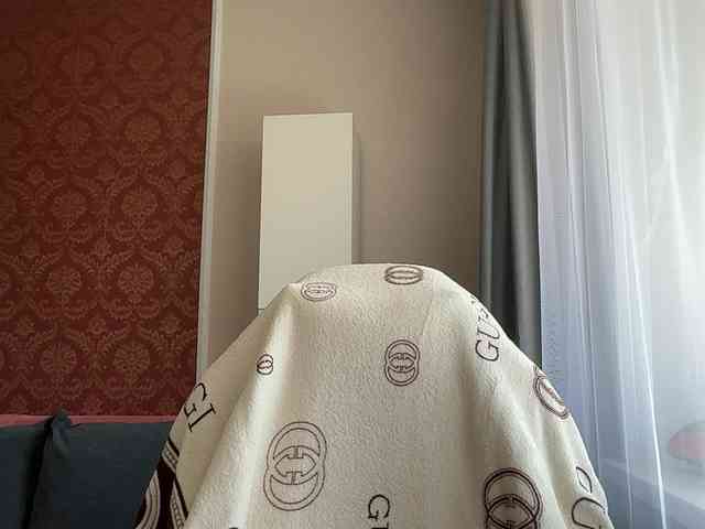 Aliice-Al webcam