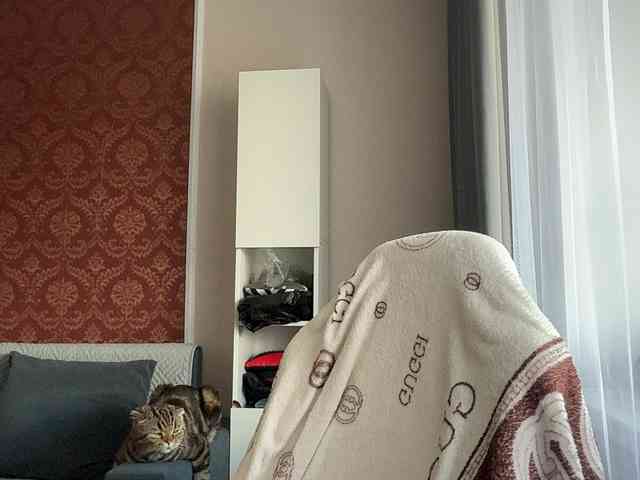 Aliice-Al webcam