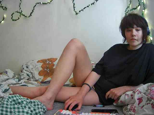 Adale-18 webcam