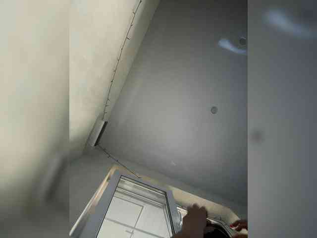 Eva511 webcam