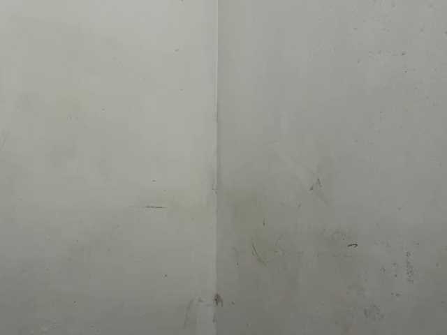 MaganAveni live cam on BongaCams